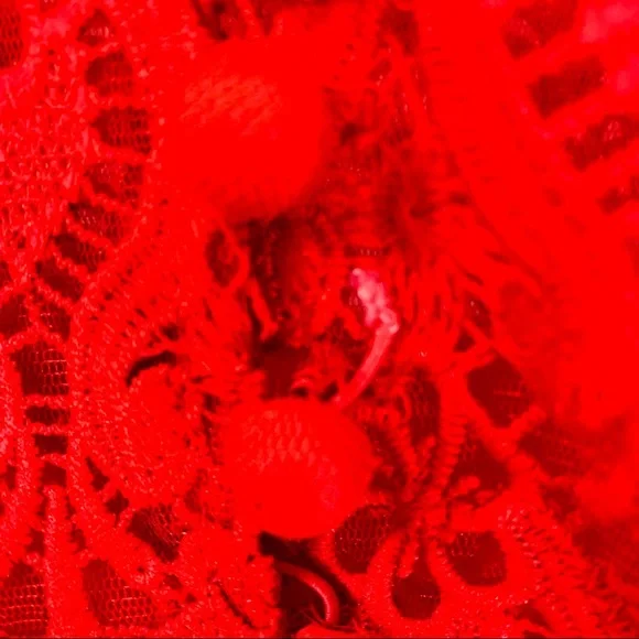 MIKAEL AGHAL Red Lace Sleeveless Midi Dress Size 2 - Picture 8 of 15